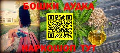 индика Ижевск