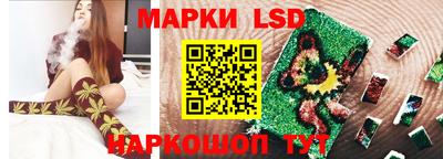 индика Ижевск