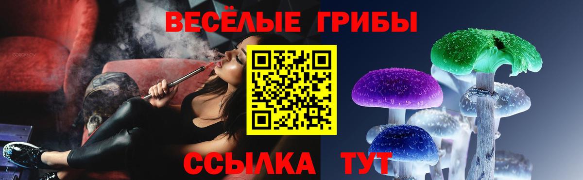 Псилоцибиновые грибы Cubensis Горно-Алтайск
